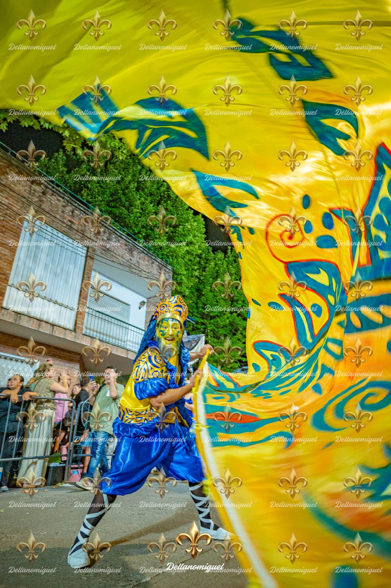 Desfile de Comparsas — Carnaval