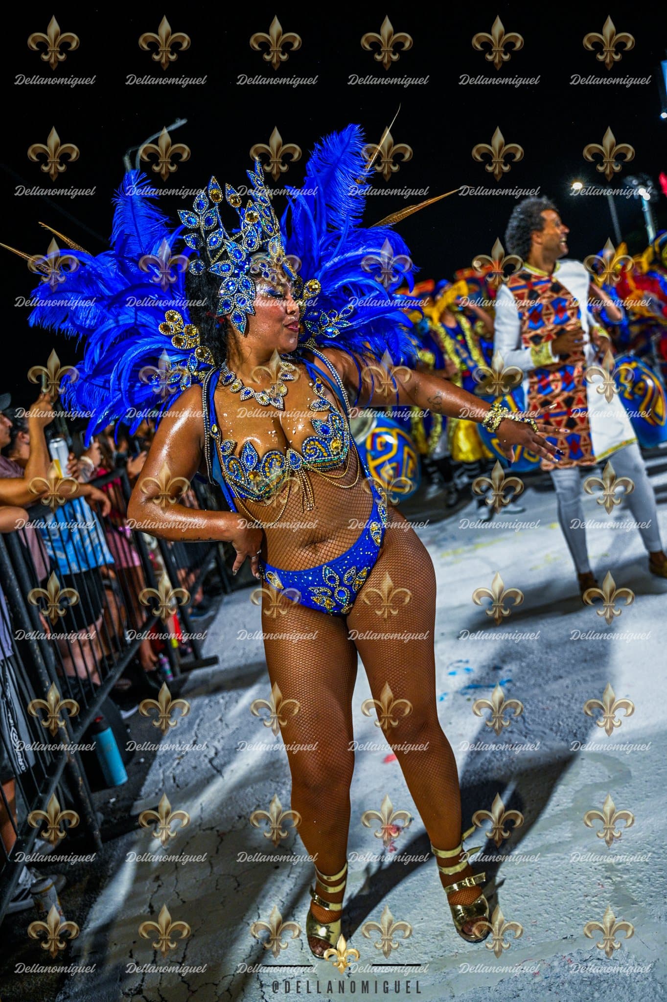 Desfile de Comparsas — Carnaval